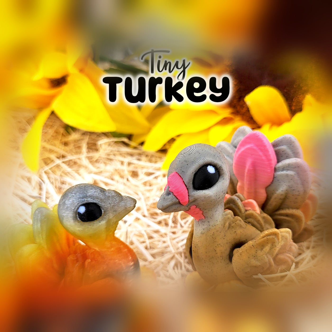 Küçük Türkiye Ejderhası