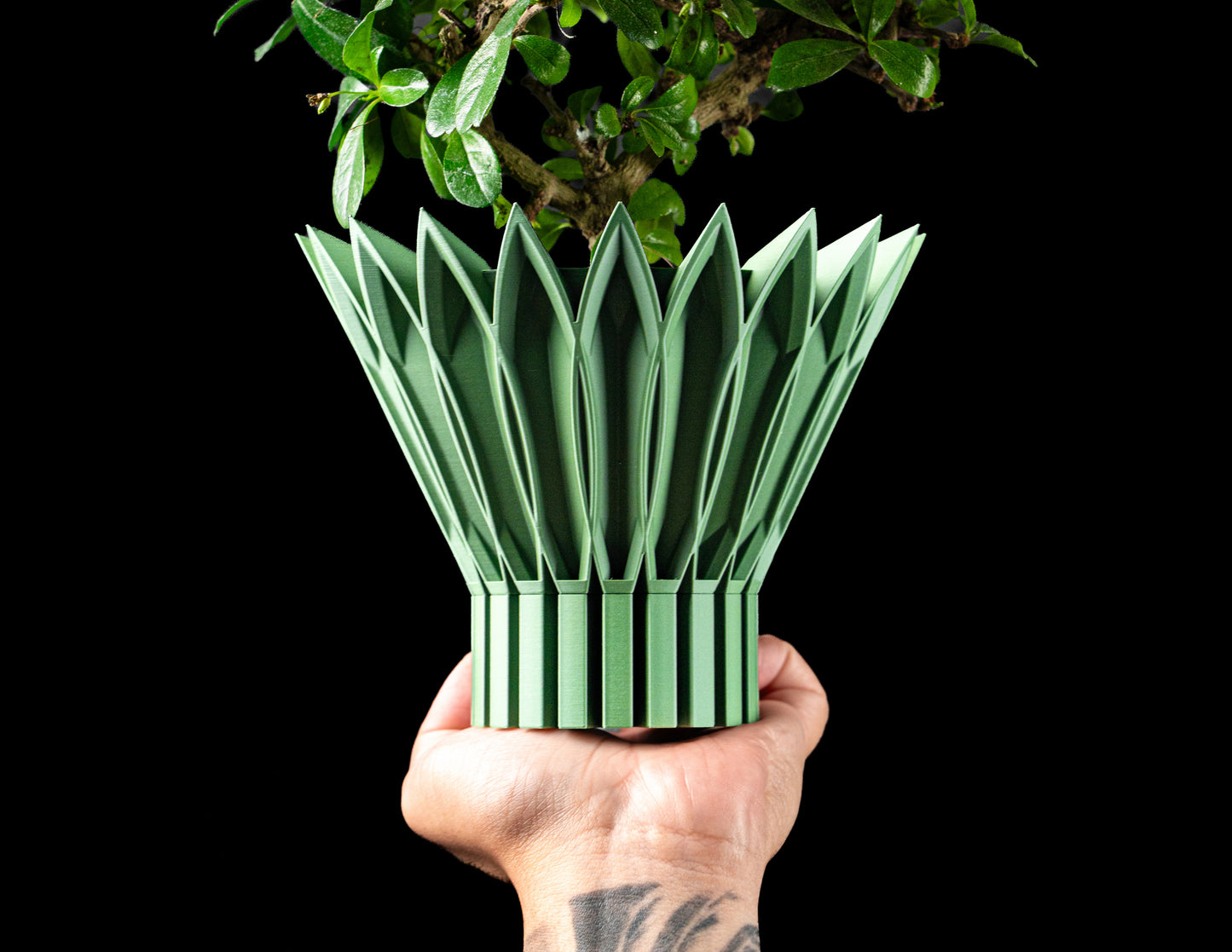 Lotus Yapraklı Modern Saksı