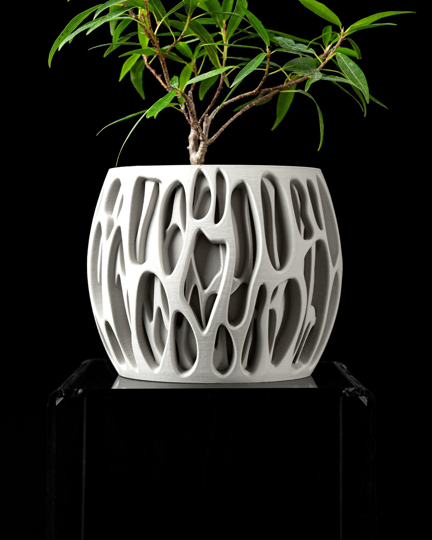 Hücre Desenli Modern Saksı