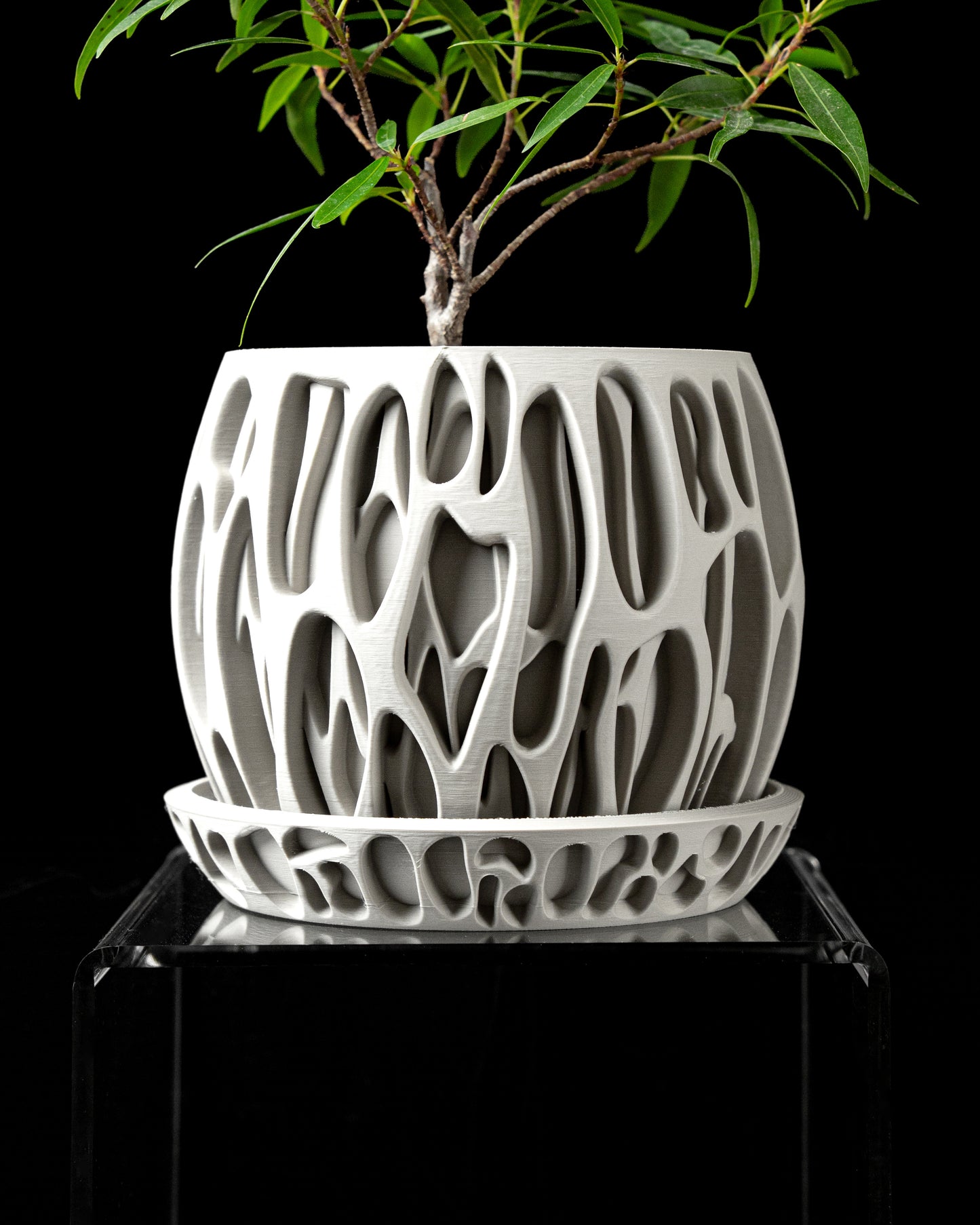 Hücre Desenli Modern Saksı