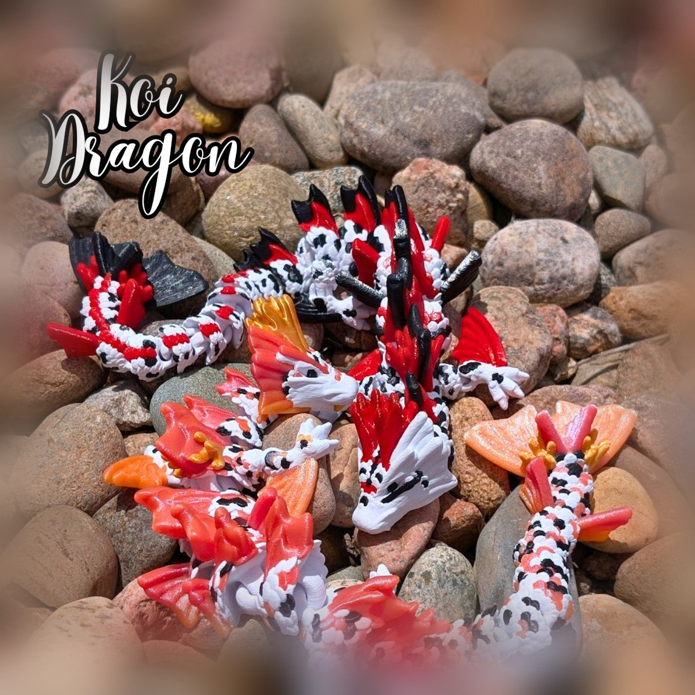 Koi Ejderha