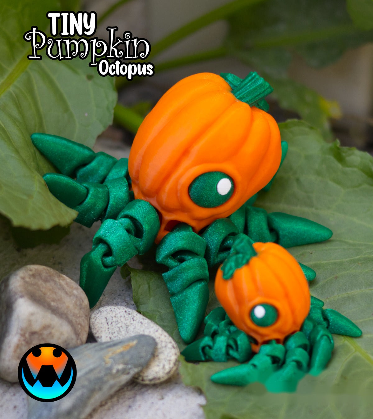 Mini Kabak Ahtapot