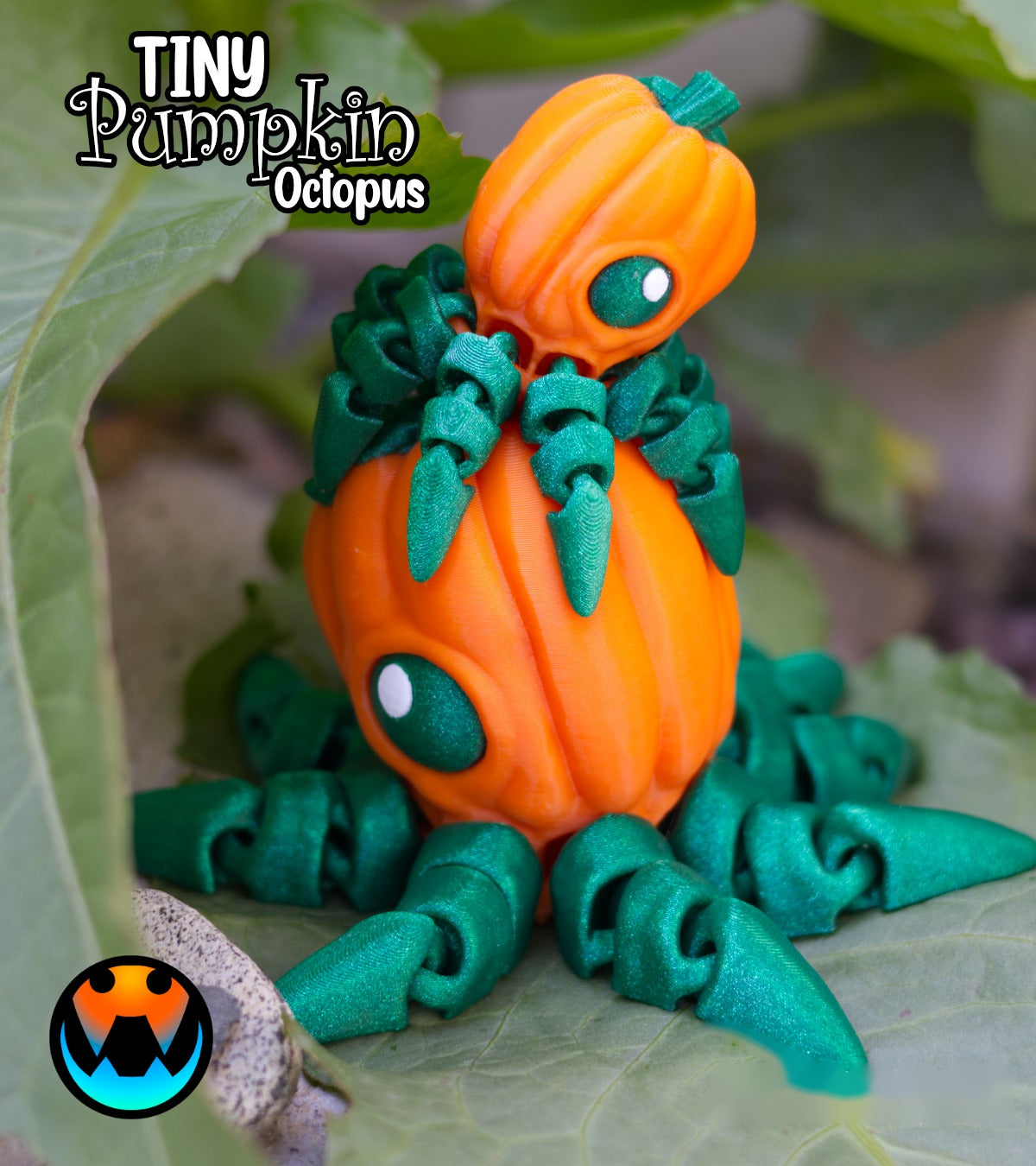 Mini Kabak Ahtapot