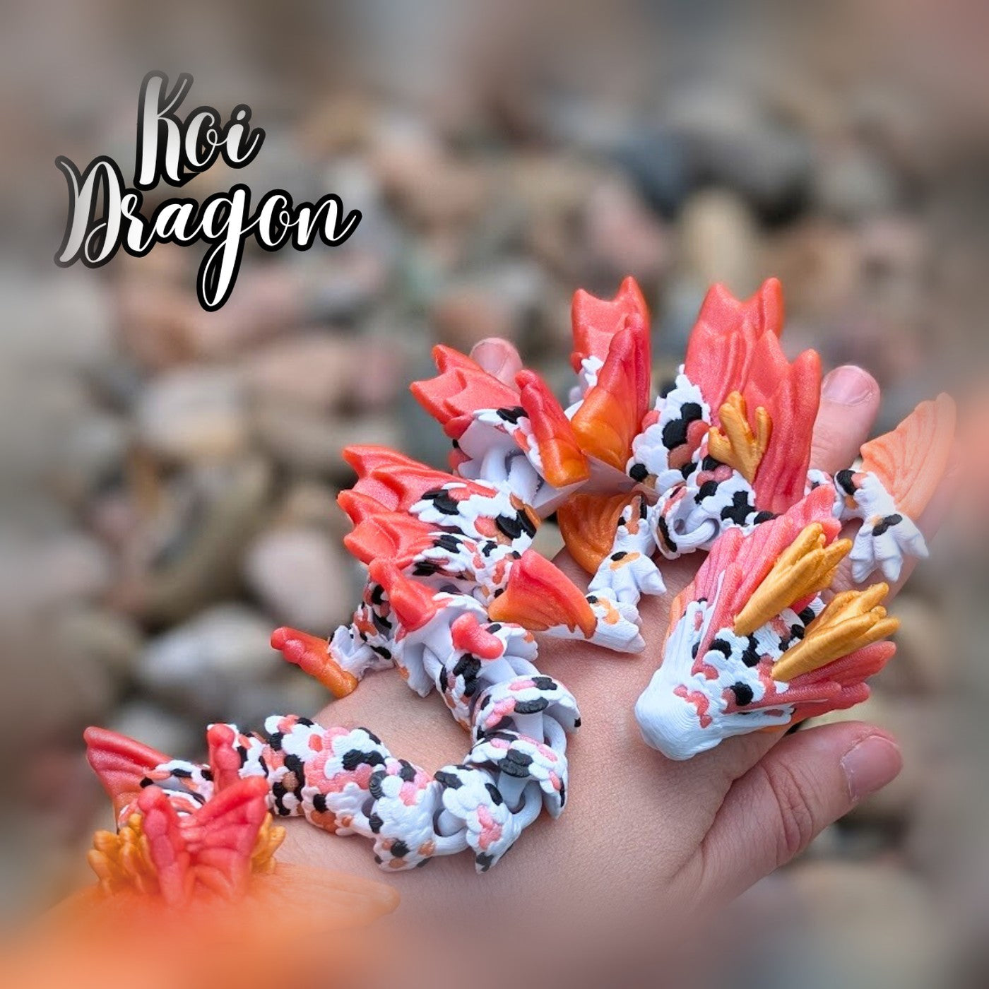 Koi Ejderha