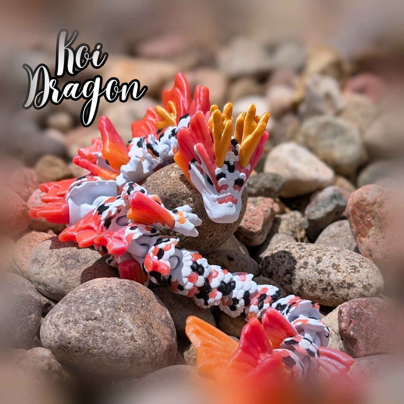 Koi Ejderha
