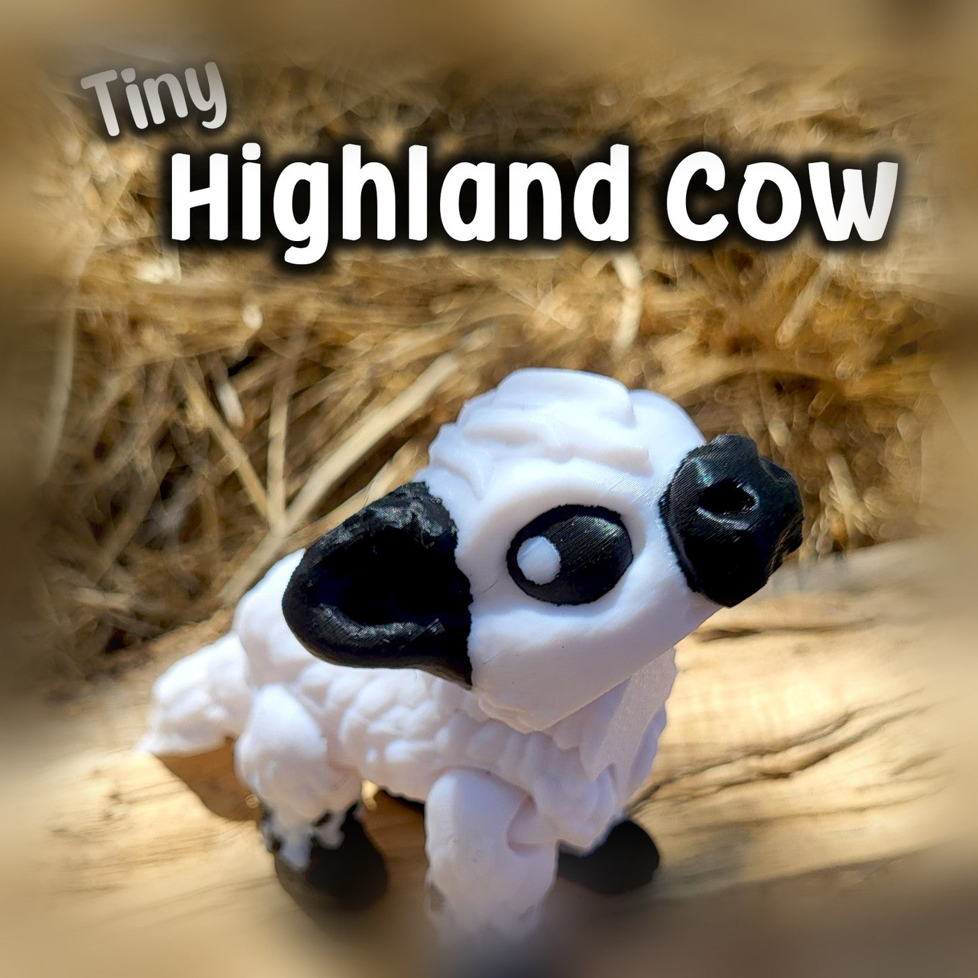 Küçük Highland İneği
