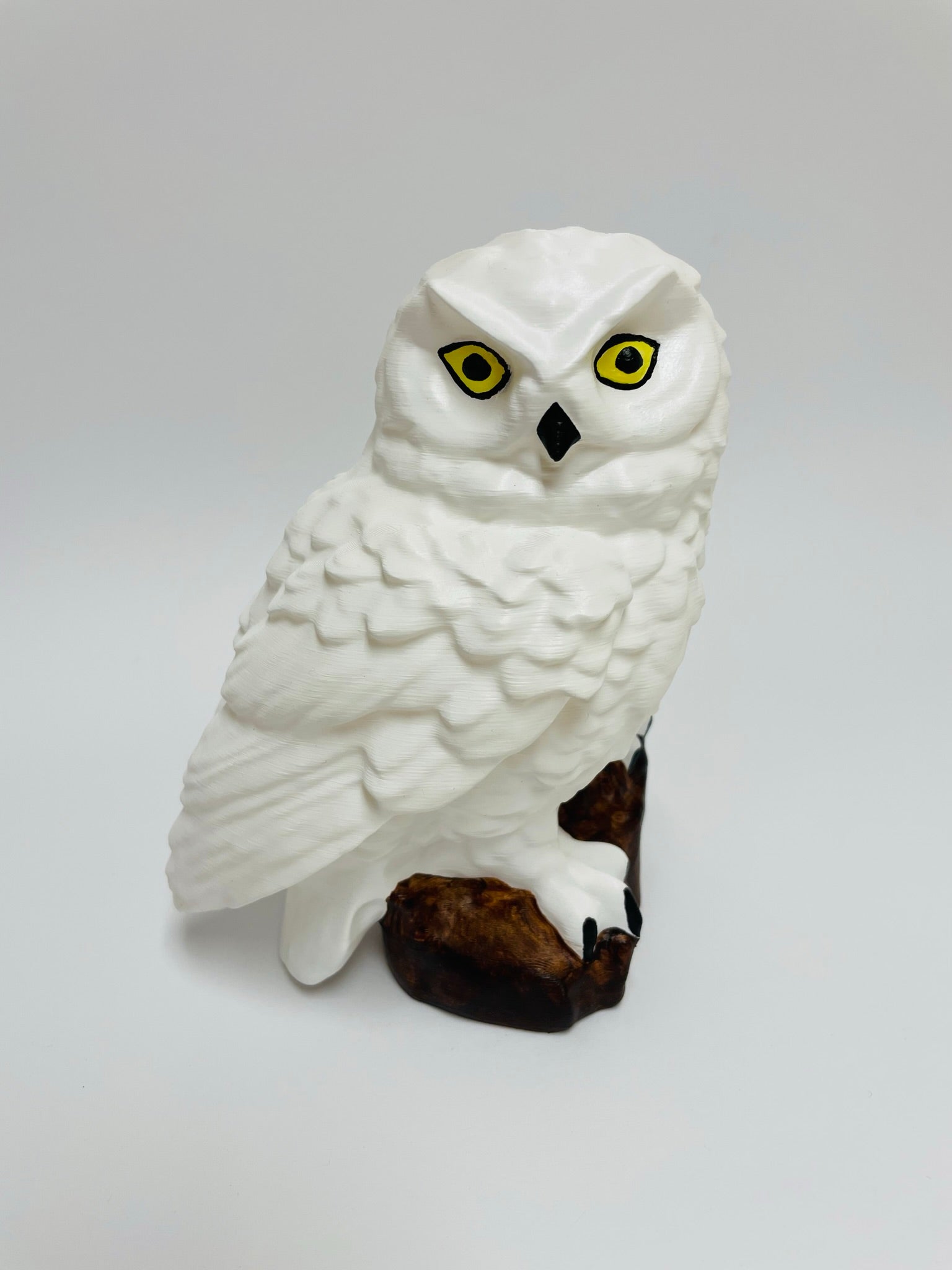 Düz Tabanlı Kar Baykuşu (Hedwig)